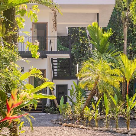 الشقق الفندقية Ojochal Gardens المظهر الخارجي الصورة
